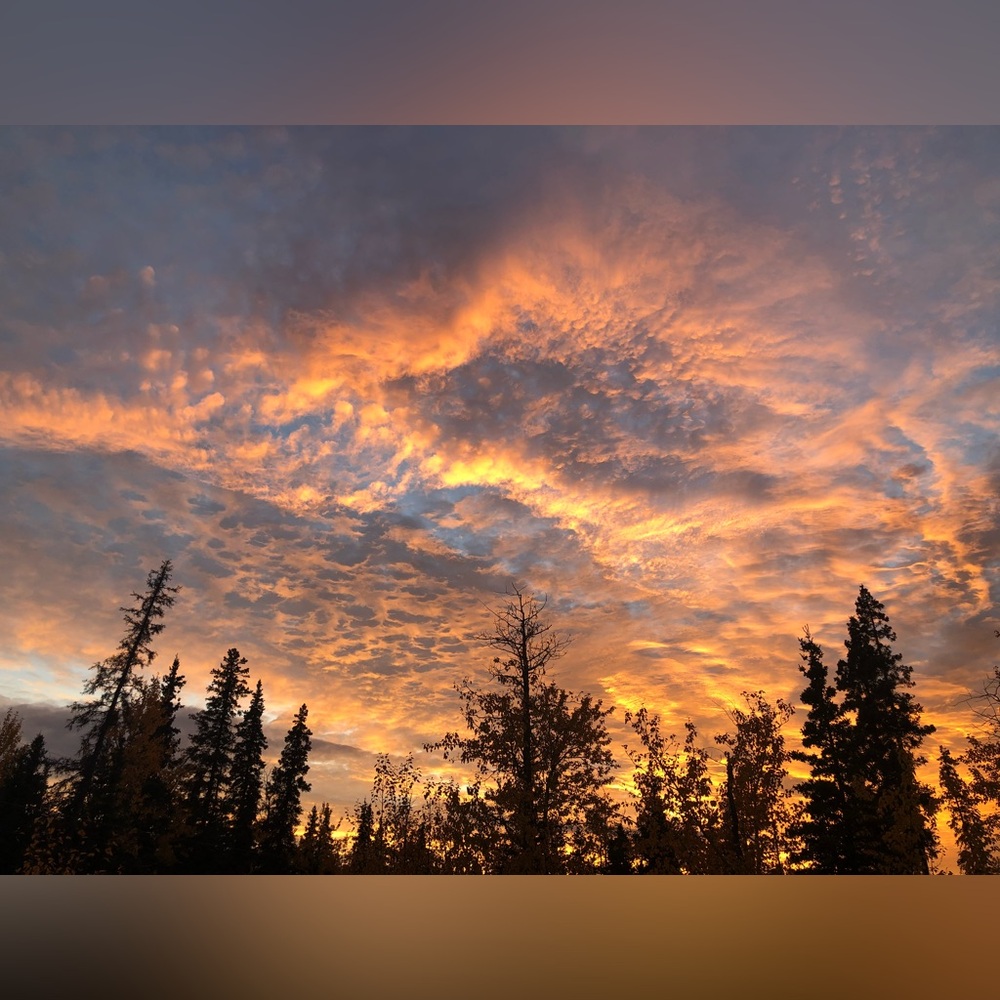 Alaska